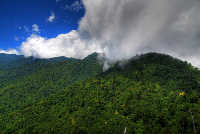 yakushima shiratani gorge taikoiwa view clouds